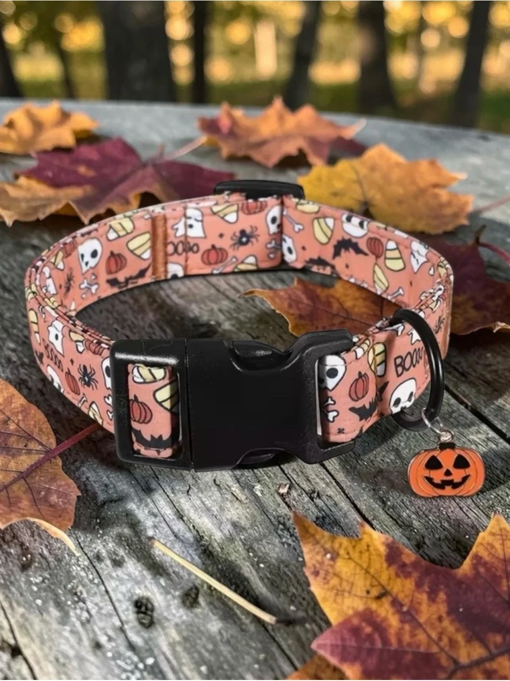 Halloween Print Pet Collar with Carved Pumpkin Charm! Adjustable, SZ - Med.